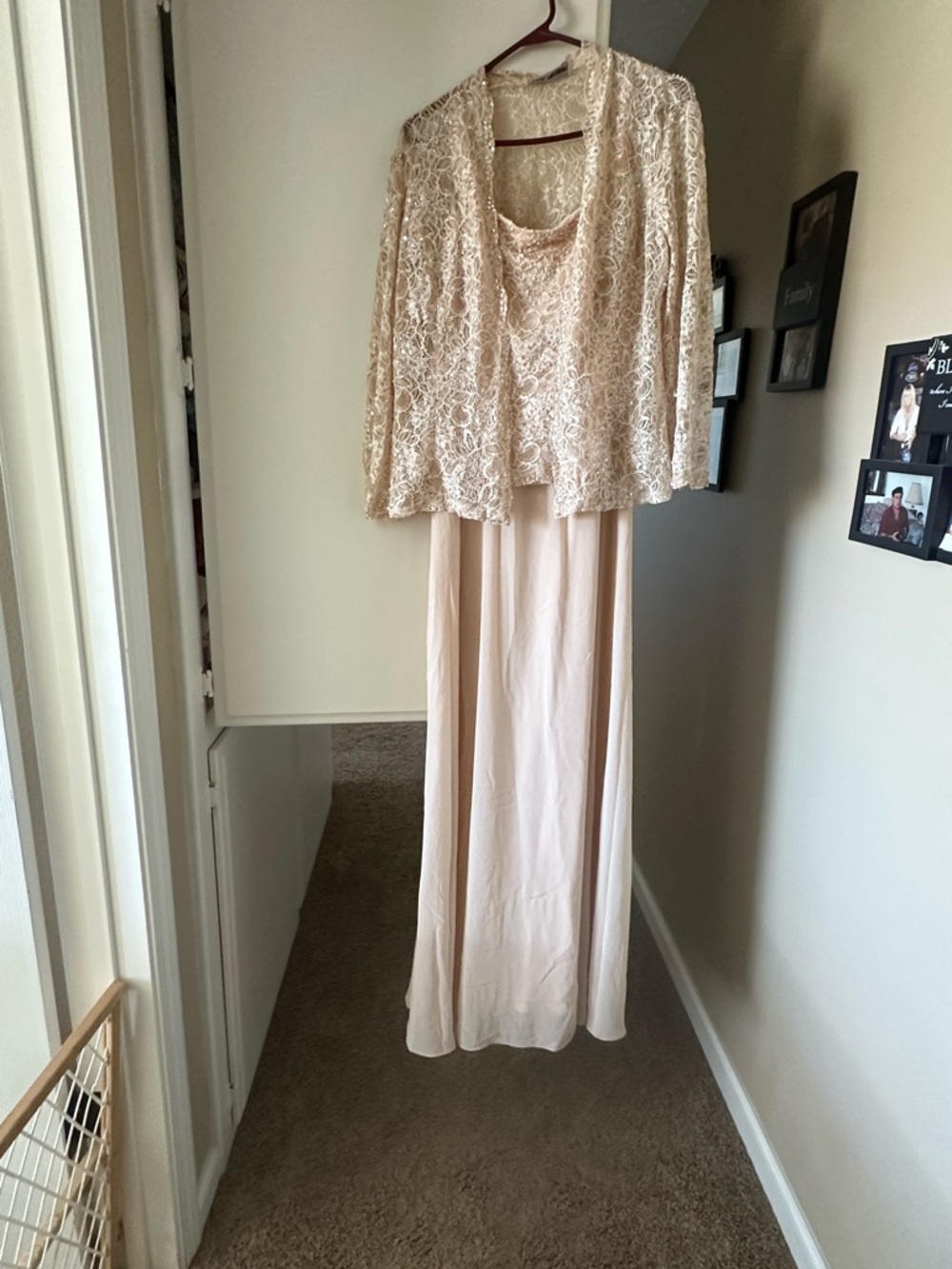 Elegant Blush Lace Evening Dress - Picture 2 of 6
